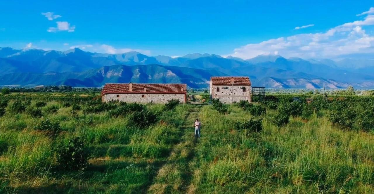 Mestvireni Telavi Extérieur photo