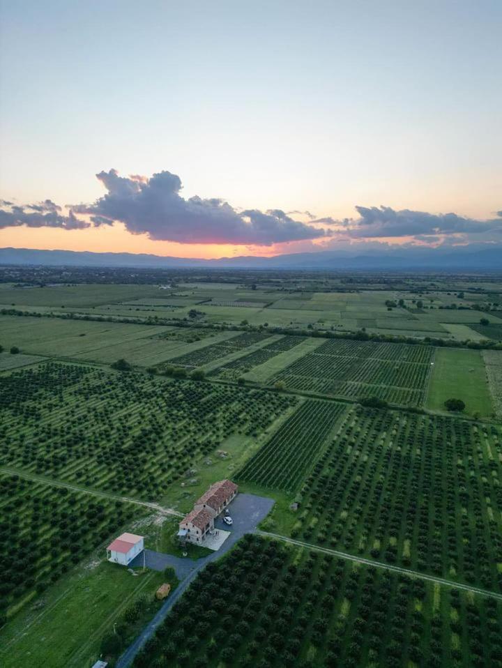 Mestvireni Telavi Extérieur photo