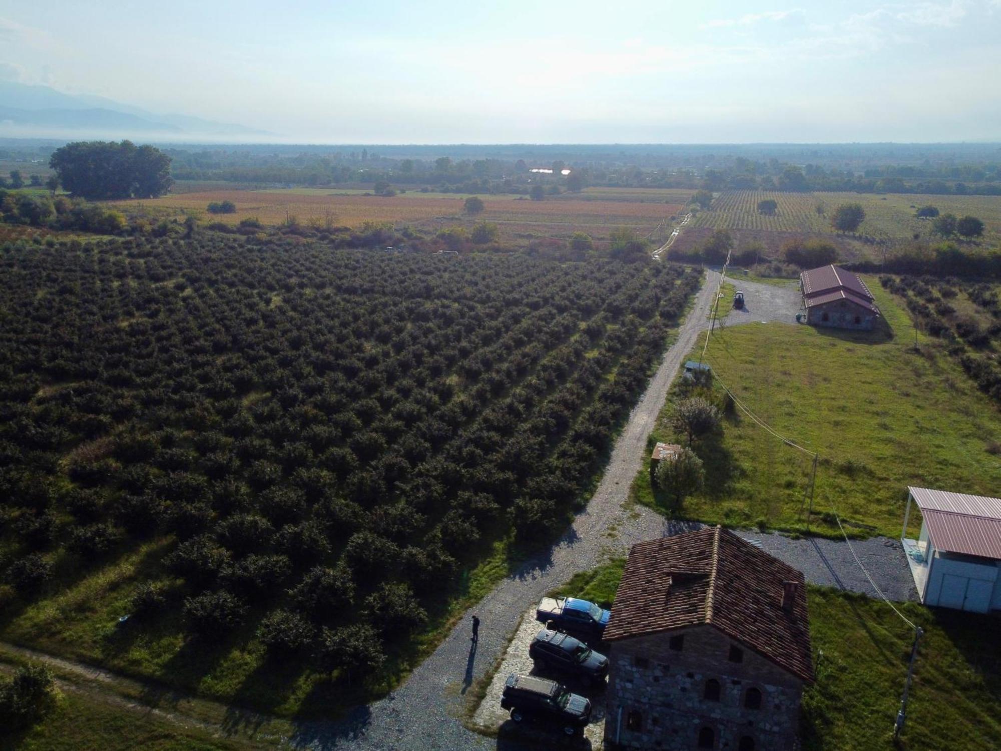 Mestvireni Telavi Extérieur photo