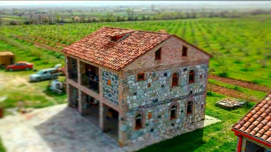 Mestvireni Telavi Extérieur photo