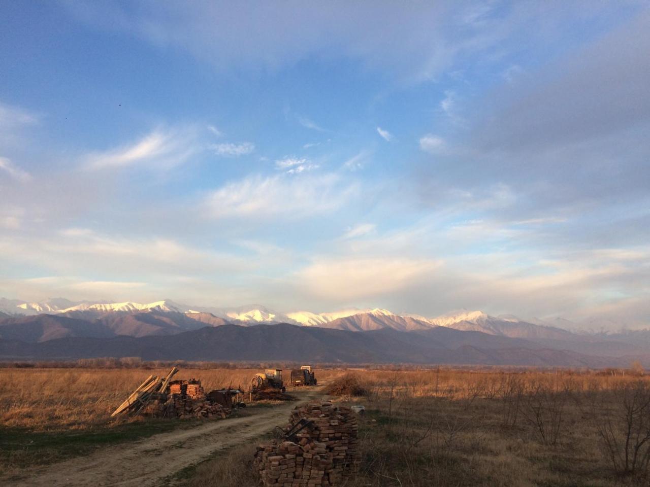 Mestvireni Telavi Extérieur photo