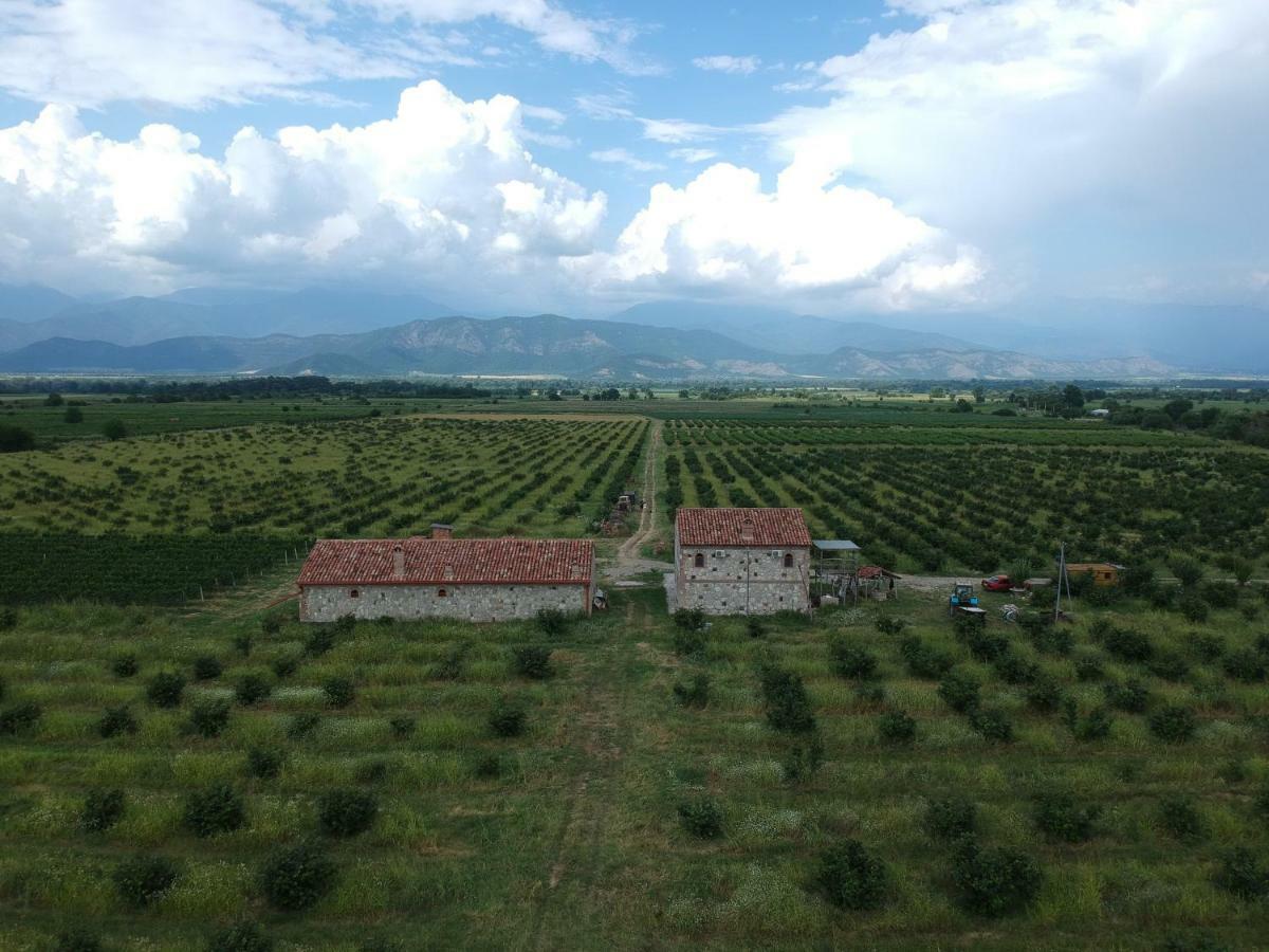 Mestvireni Telavi Extérieur photo